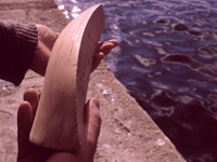 diseño
