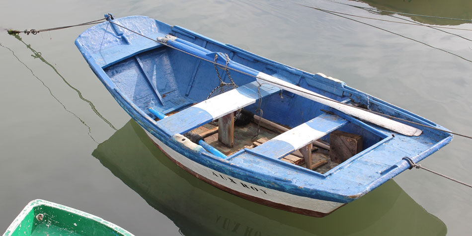 bacia