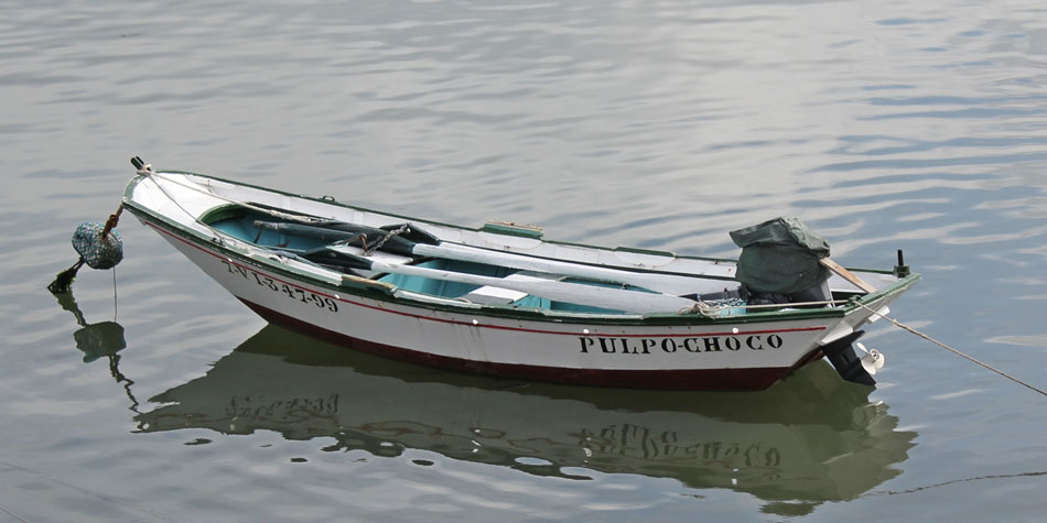 PULPO CHOCO