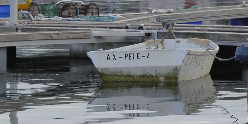AUX PEPE