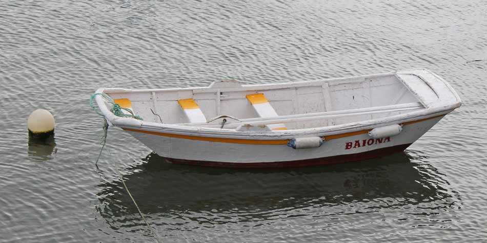 BAIONA