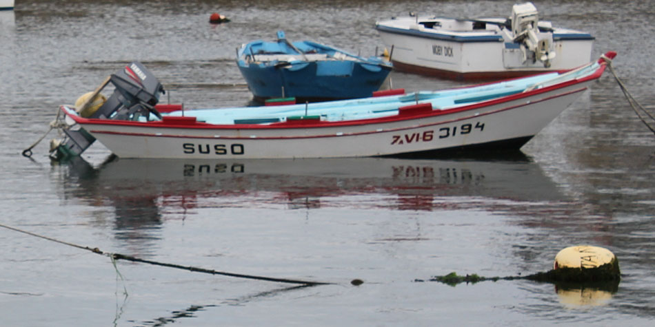 SUSO