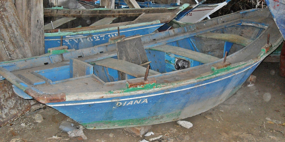 DIANA