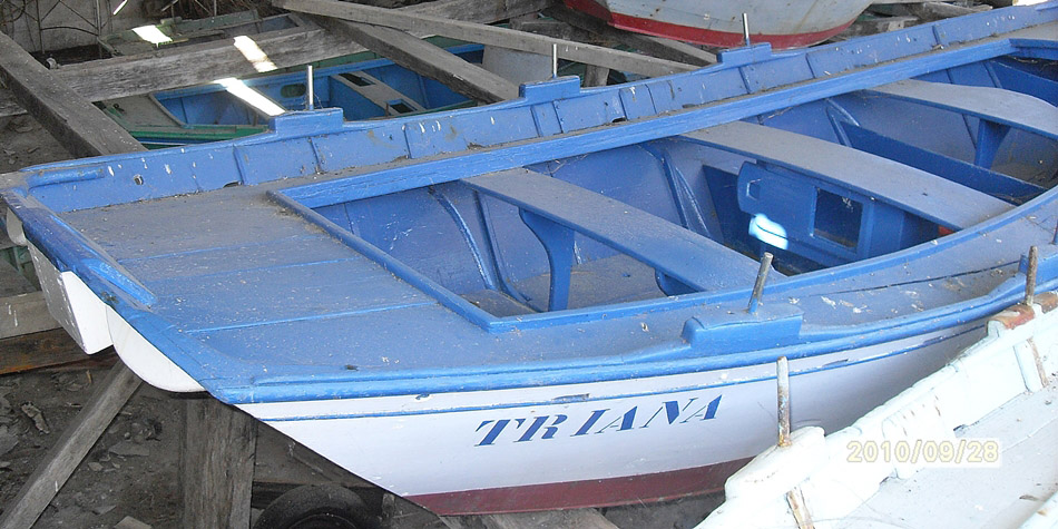 TRIANA