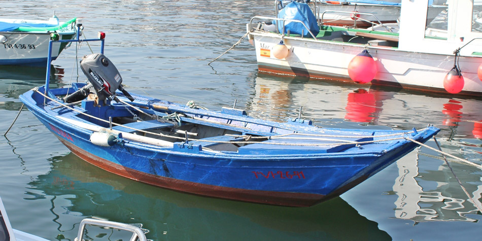 JALISCA