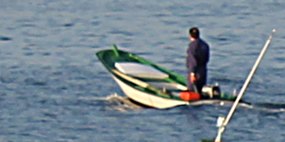 descoñecido