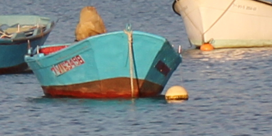 25