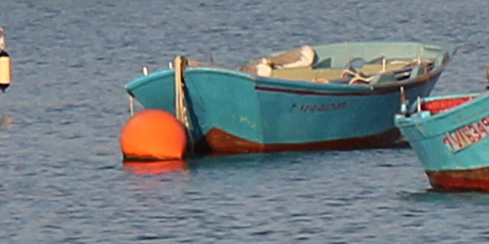 26