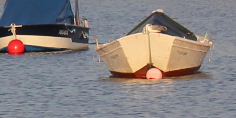 28