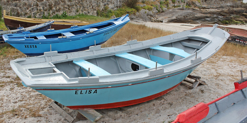 ELISA