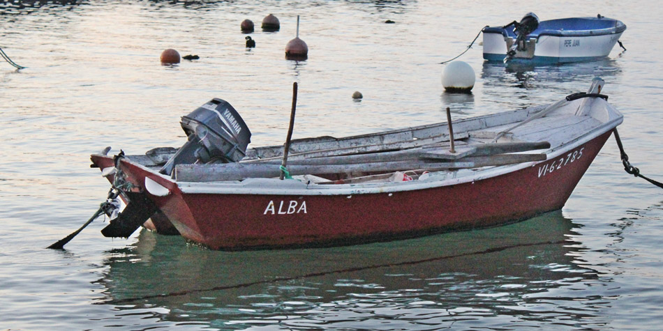 ALBA