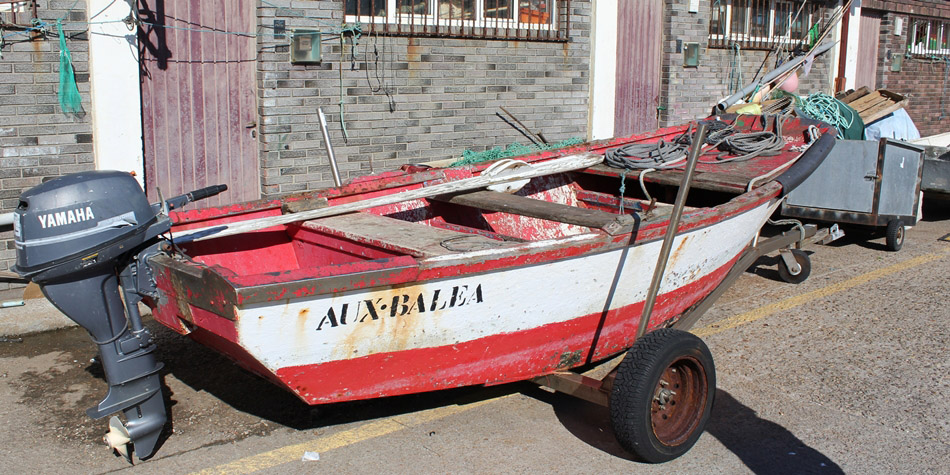 AUX.BALEA