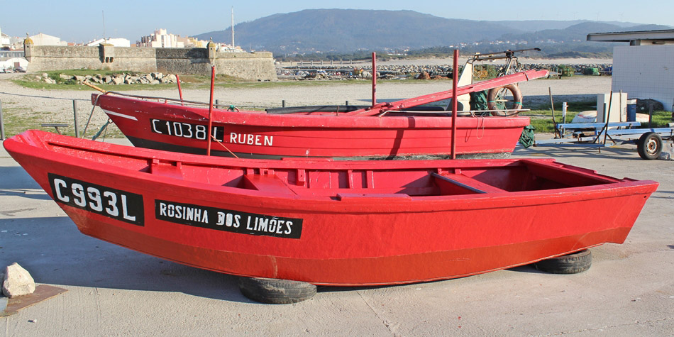 ROSINHA DOS LIMOES