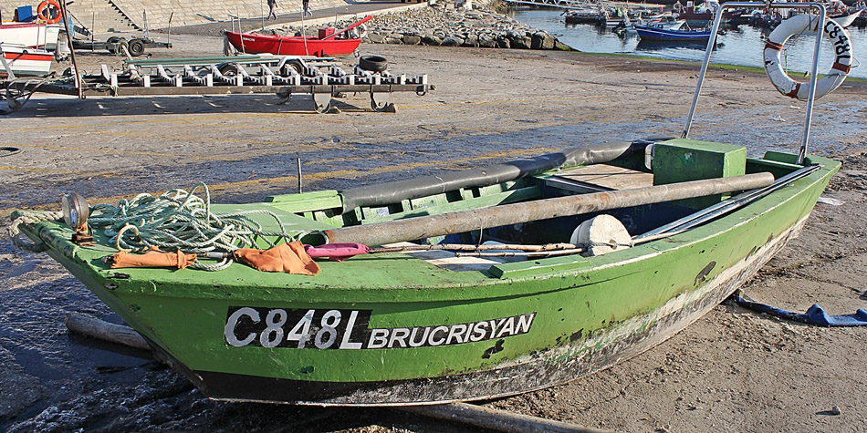 BRUCRISYAN