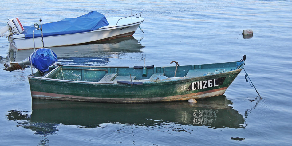 ZÉ