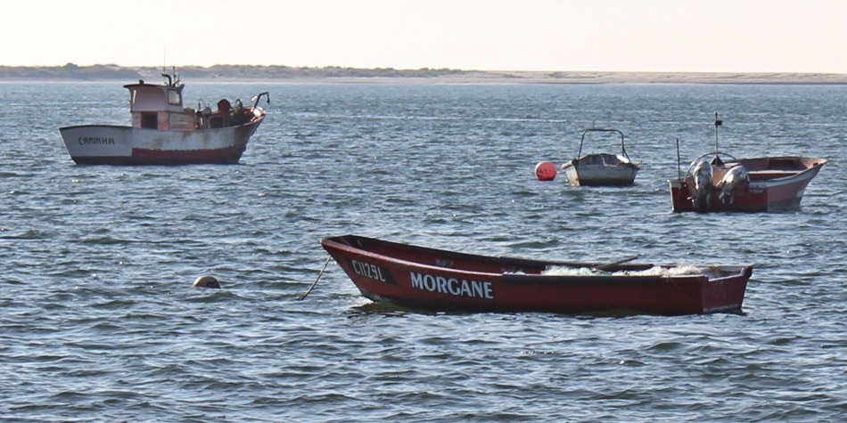 MORGANE