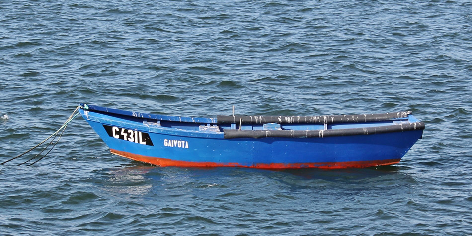 GAIVOTA
