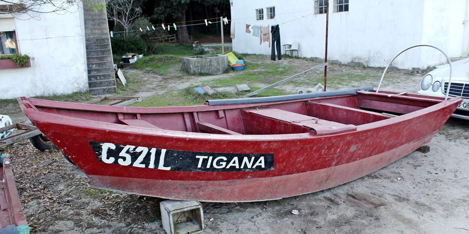 TIGANA