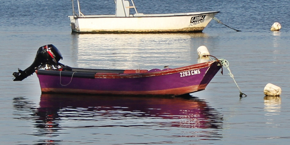 54