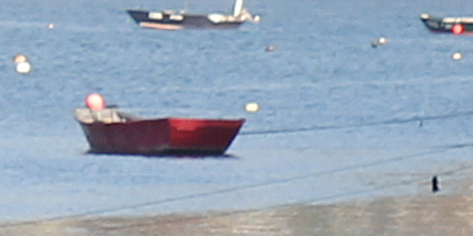 55