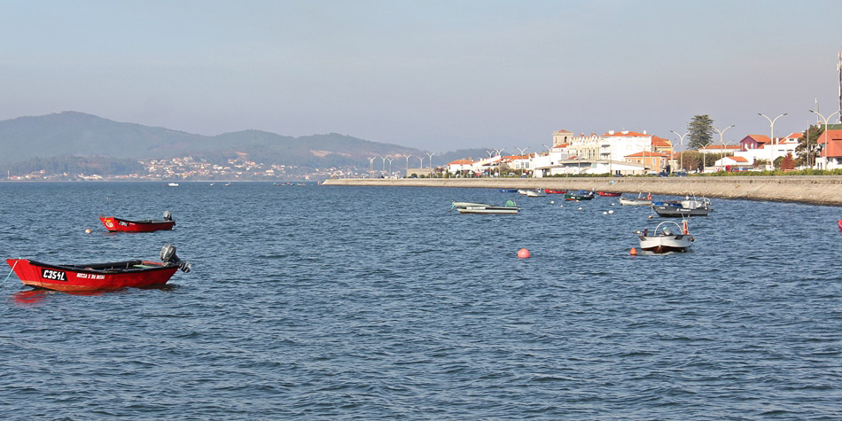 Caminha