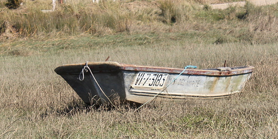 MAR DEL NORTE