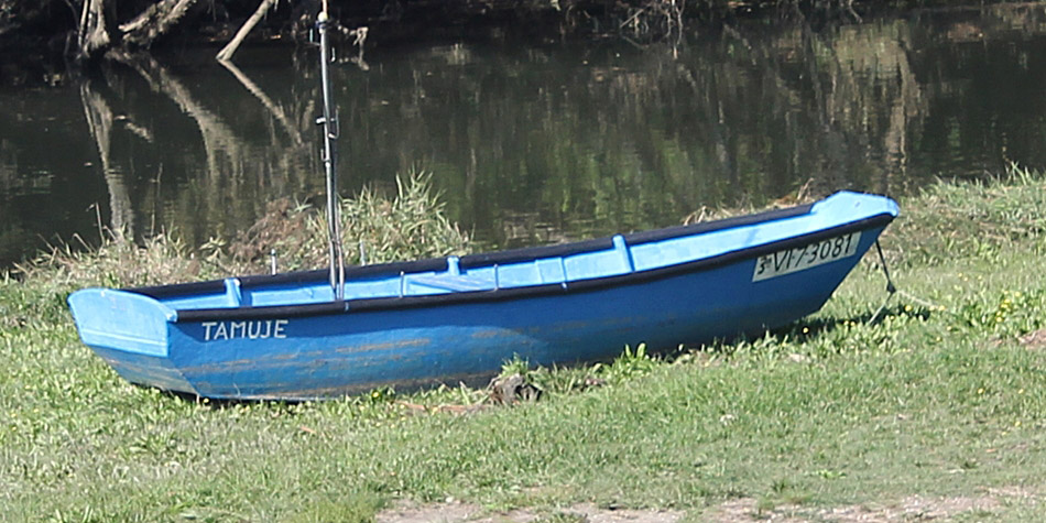 TAMUJE