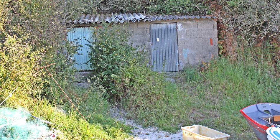 Nerga