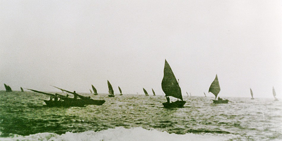 as de pardela