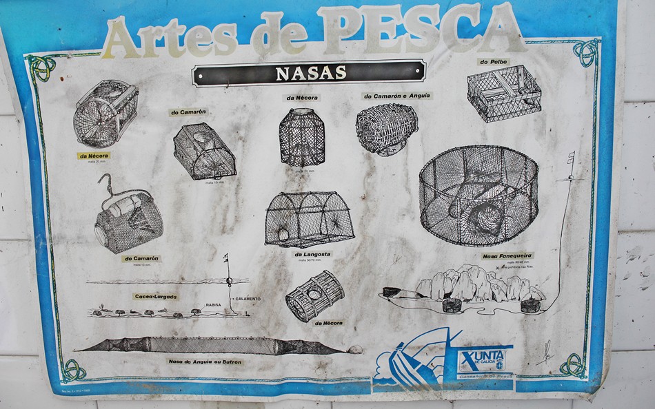 nasas