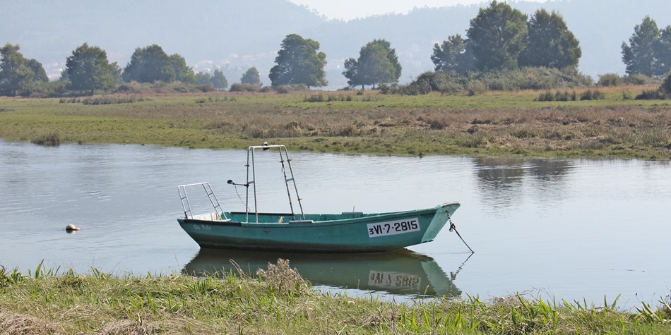Tamuxe
