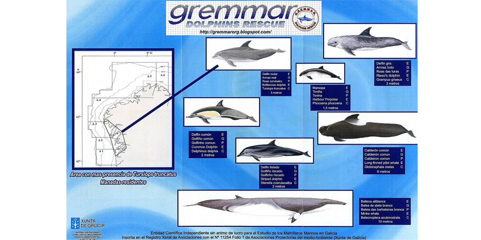 cetaceos en Galicia